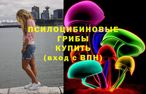 спиды Майский