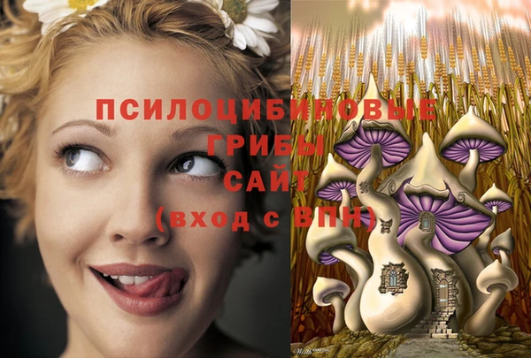 MESCALINE Алзамай