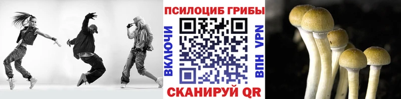 сколько стоит  Чернушка  mega ТОР  Галлюциногенные грибы прущие грибы 